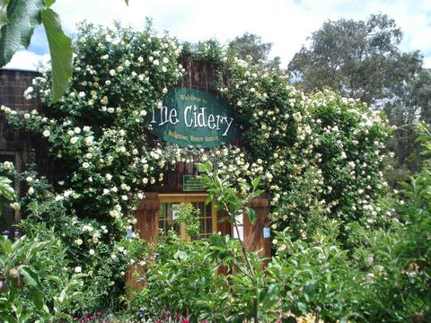 The Cidery