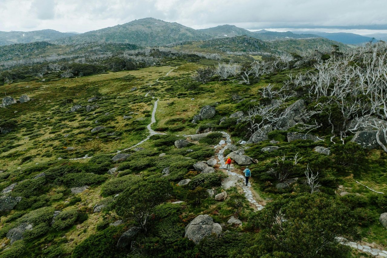 Charlotte Pass Village to Perisher​ Valley, Snowies Alpine Walk