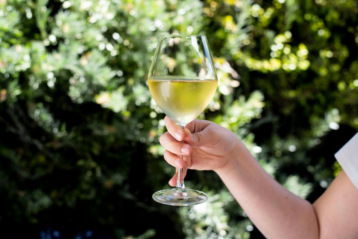 A glass of wine in front of a plant wall