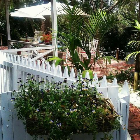 The Olive State Tearoom