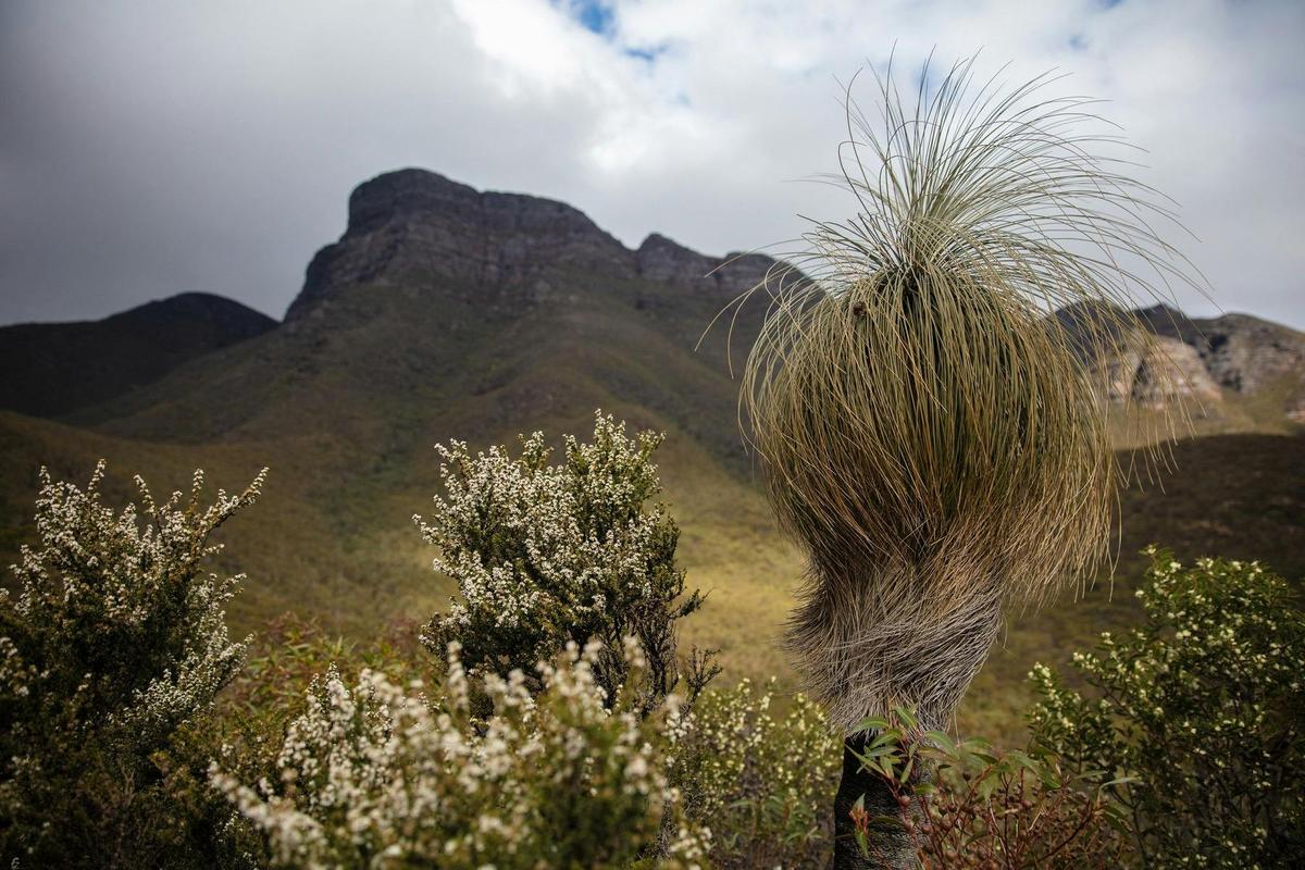 Bluff Knoll, Stirling Range National Park