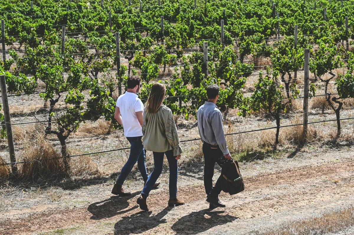 Discover Voyager & Seasonal Lunch