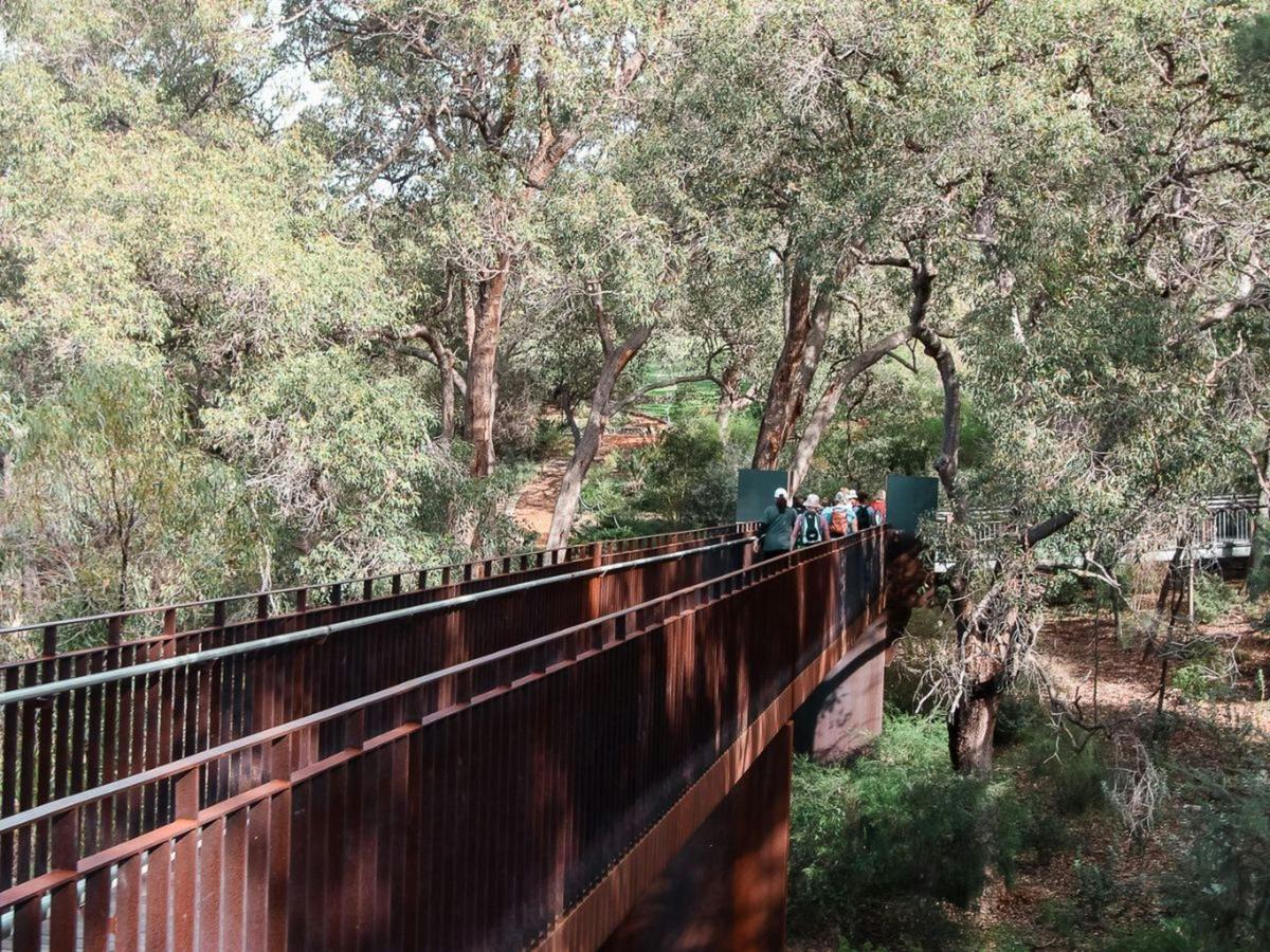 Kings Park Botanicals and Beyond Guided Hike