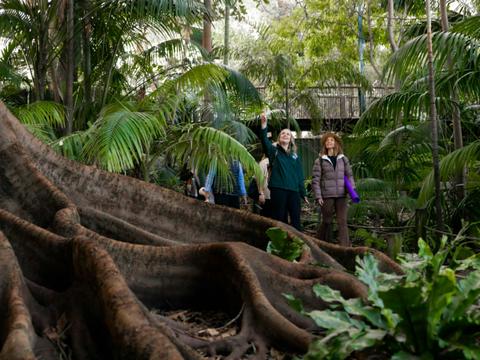 Zen In The Zoo