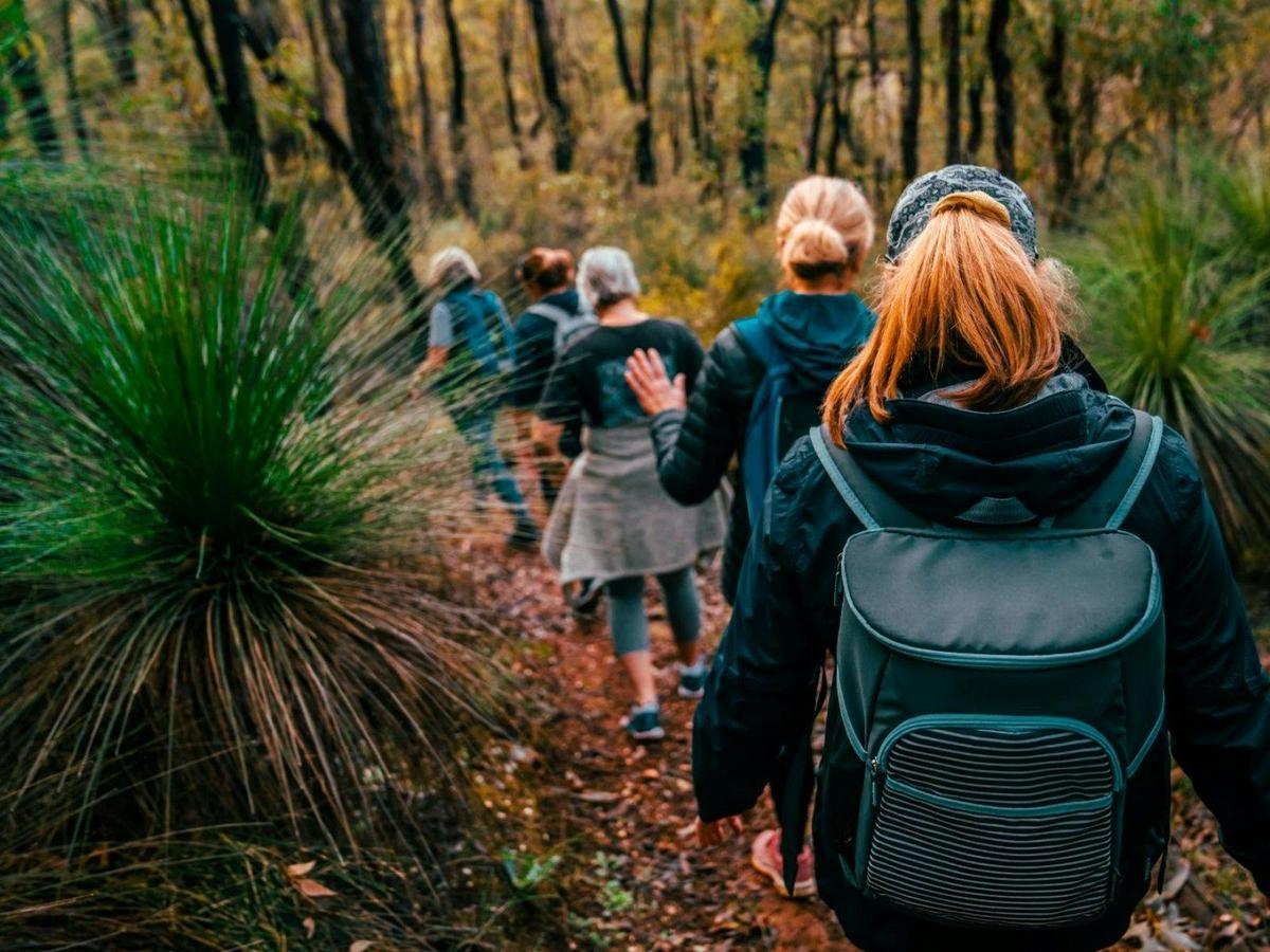 The Hike Collective