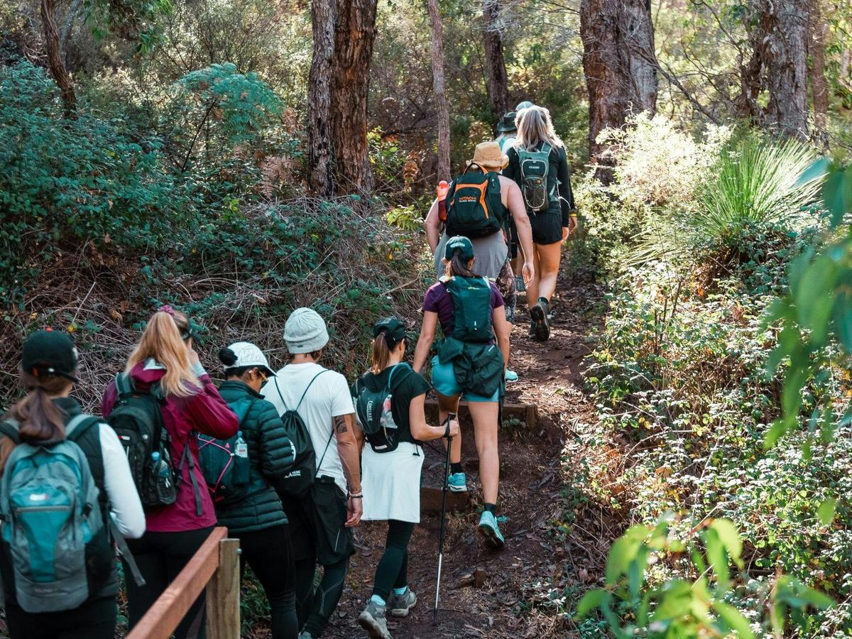 Darling Ranges Two Peaks