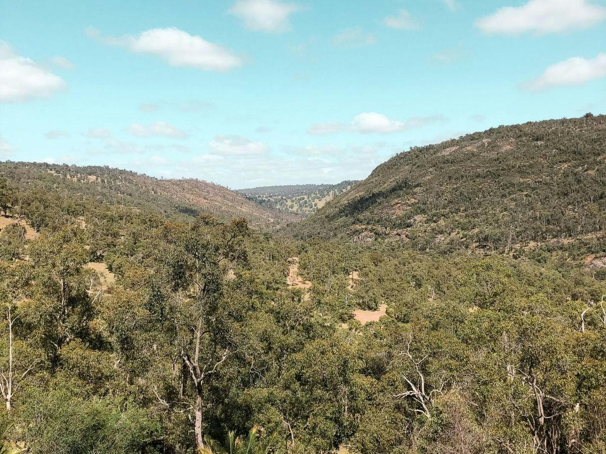 Paruna Wildlife Sanctuary Quenda Trail Guided Hike