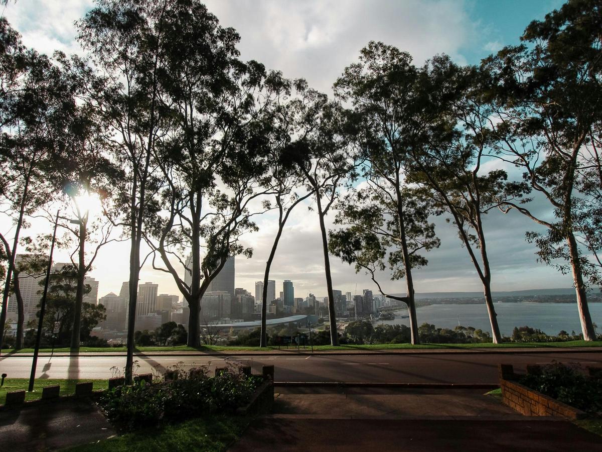 Kings Park Botanicals and Beyond Guided Hike