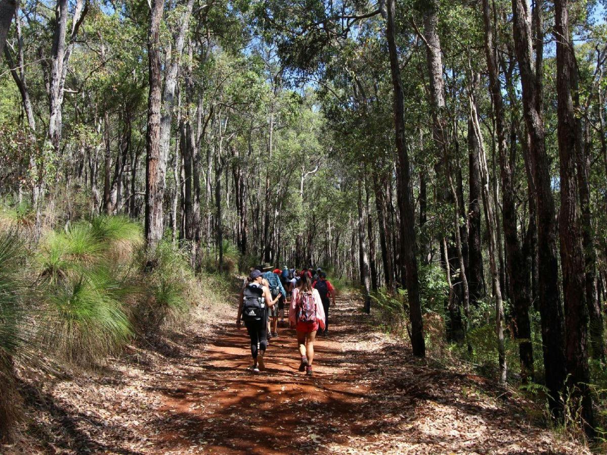Araluen Botanic Park Hidden Secrets