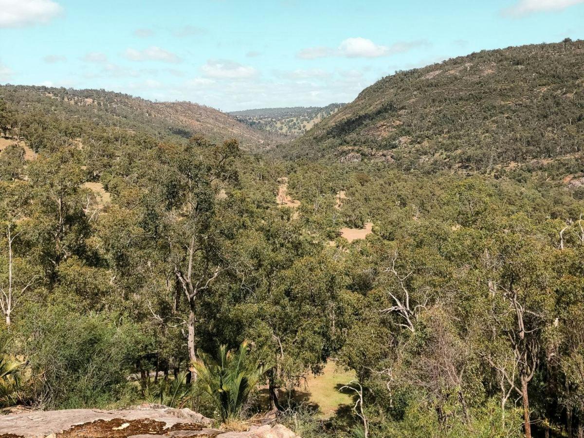 Paruna Wildlife Sanctuary Quenda Trail Guided Hike