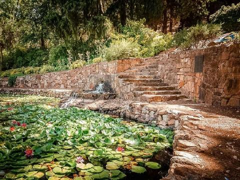 Araluen Botanic Park Hidden Secrets