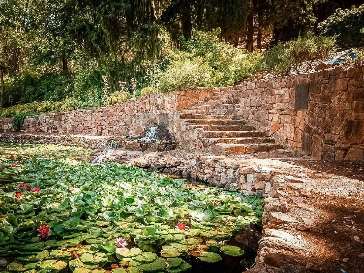 Araluen Botanic Park Hidden Secrets