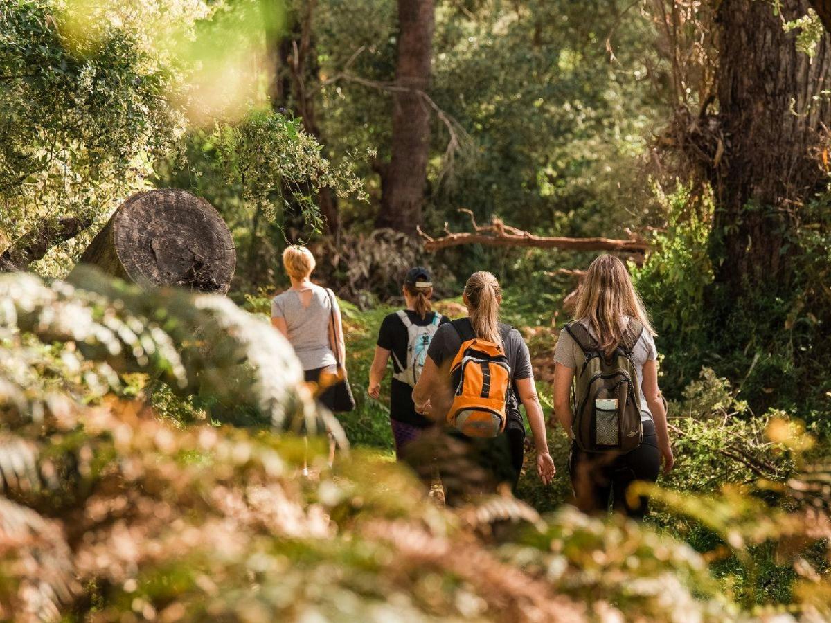 The Hike Collective