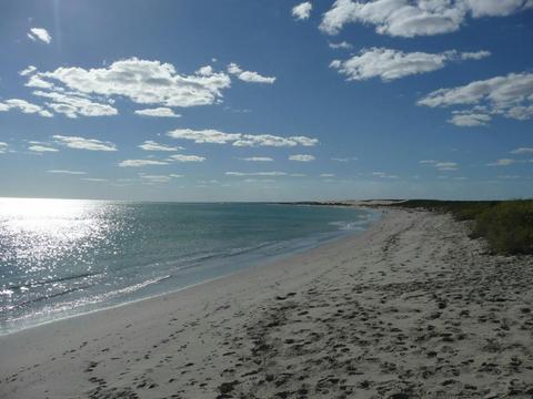 Tarcoola Beach