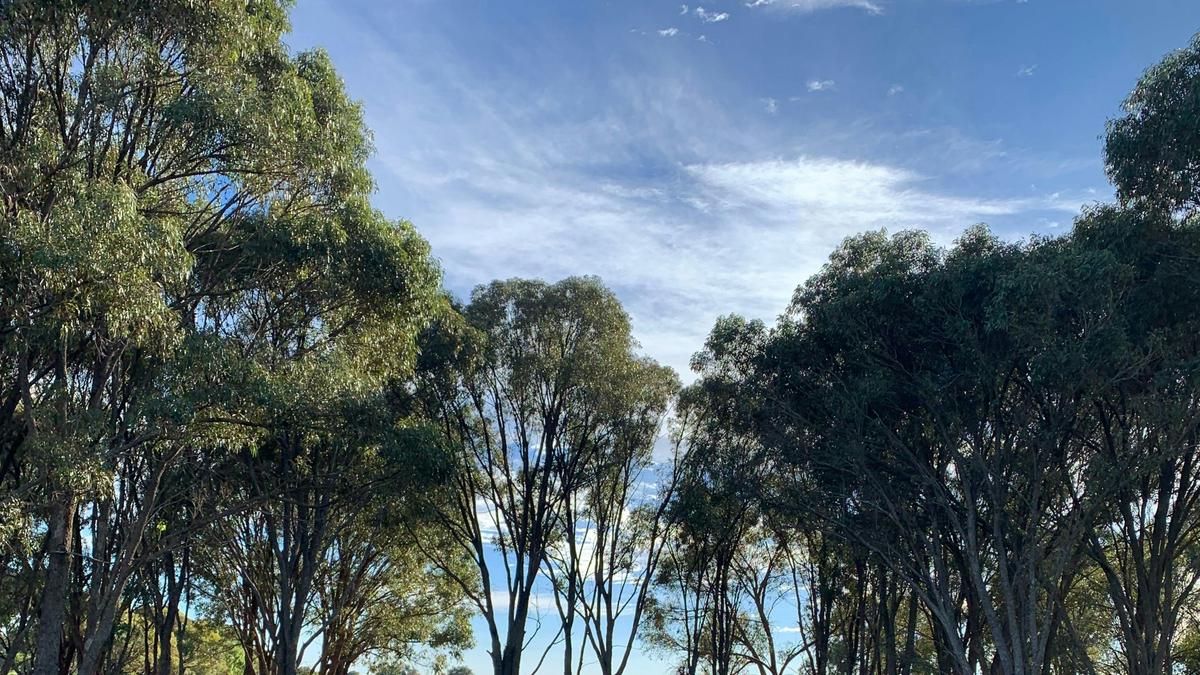The Mallee Manor Campground Dongara
