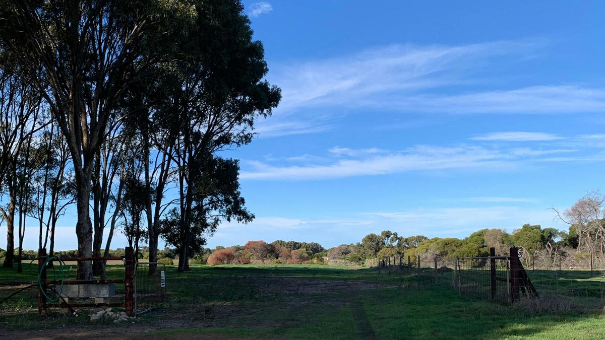The Mallee Manor Campground Dongara