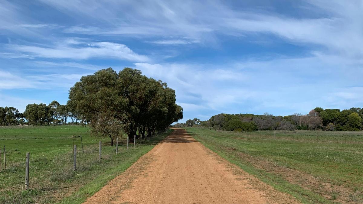 The Mallee Manor Campground Dongara