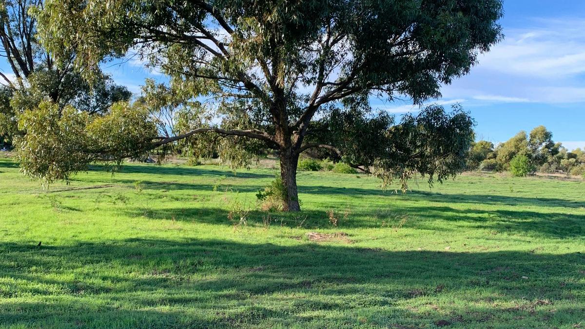The Mallee Manor Campground Dongara