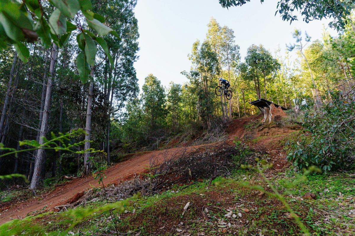 Road Crossing at Toms Crossing Mountain Bike Trails in Dwellingup, Western Australia
