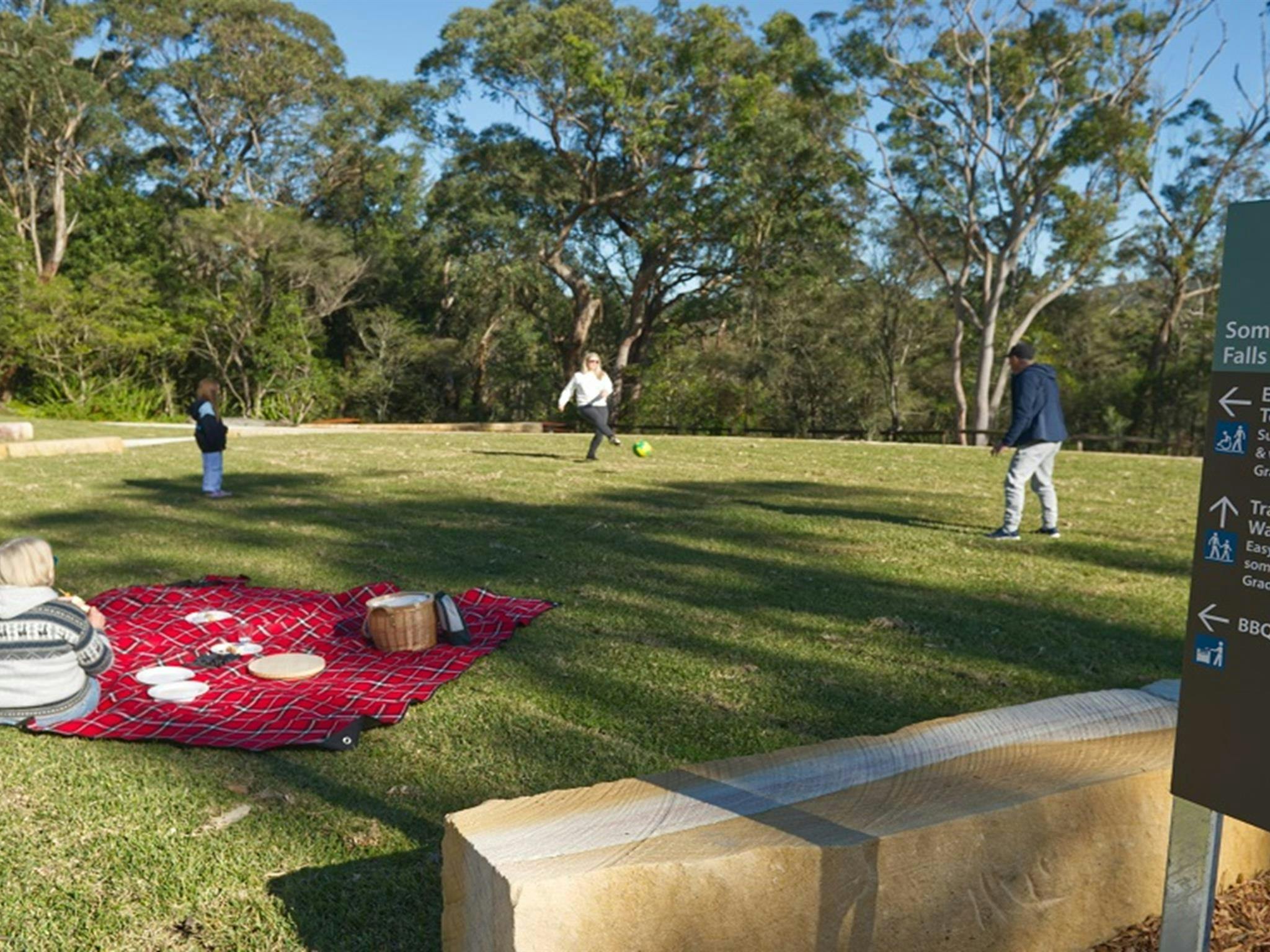 A family kicks a ball to each other while a woman sitting on a picnic blanket looks on, Somersby