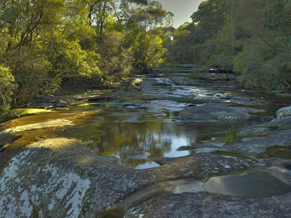 A section of Somersby Falls, Brisbane Water National Park. Credit: Stuart Cohen, Bottle Brush Media