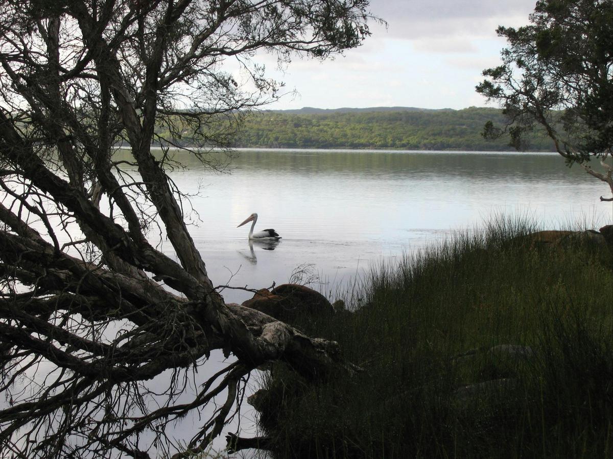 The Cove Foreshore