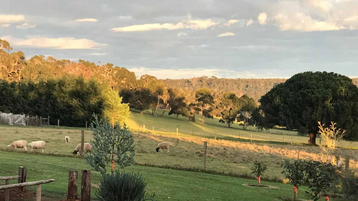 The Grange on Kalgan