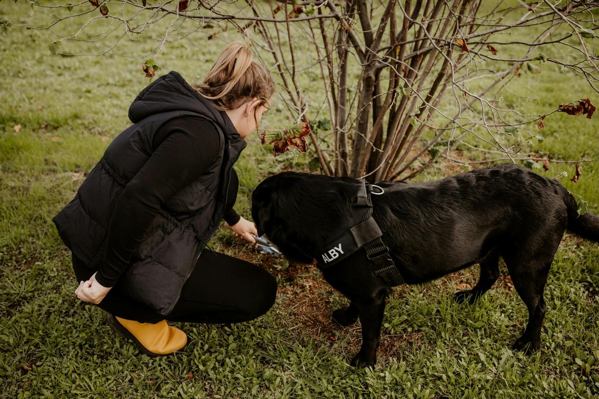 Dig Deep and Eat - Margaret River Truffle Hunt Experience and Lunch