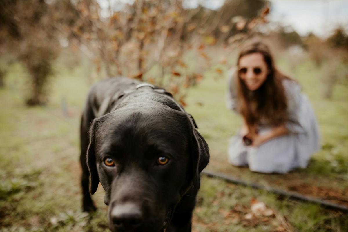 Dig Deep and Eat - Margaret River Truffle Hunt Experience and Lunch