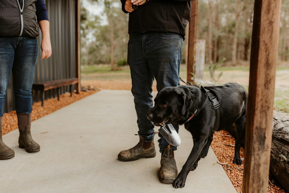 Dig Deep and Eat - Margaret River Truffle Hunt Experience and Lunch