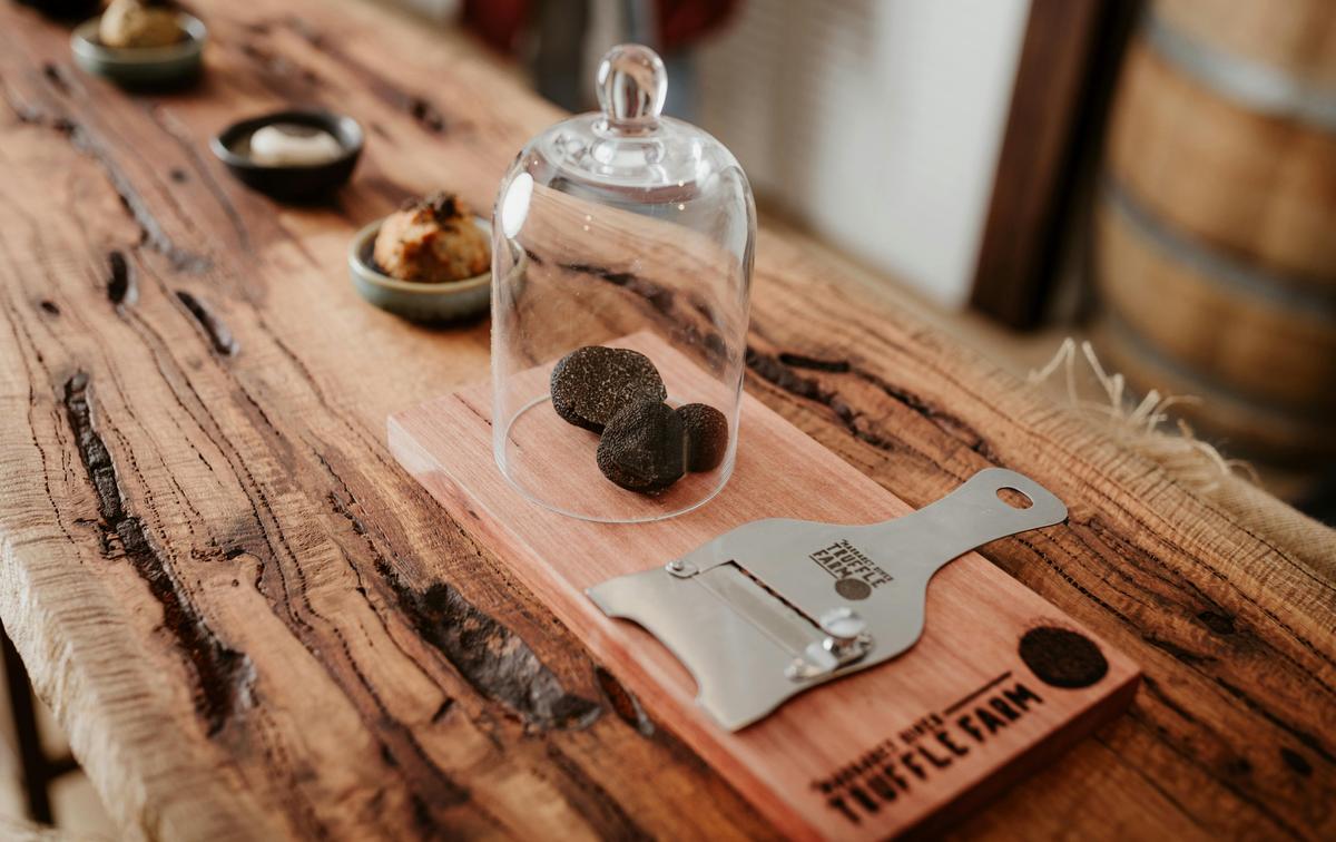 Dig Deep and Eat - Margaret River Truffle Hunt Experience and Lunch