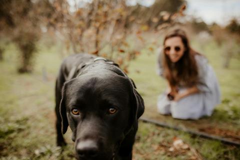 Dig Deep - Margaret River Truffle Hunt Experience
