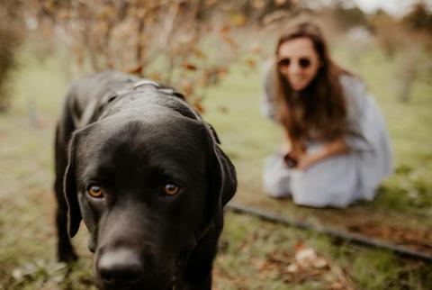 The Margaret River Truffle Farm