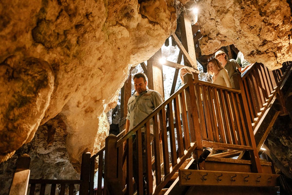 Sensory Indulgence of Margaret River - a wine, food culture & nature discovery - 3 days - ex Perth