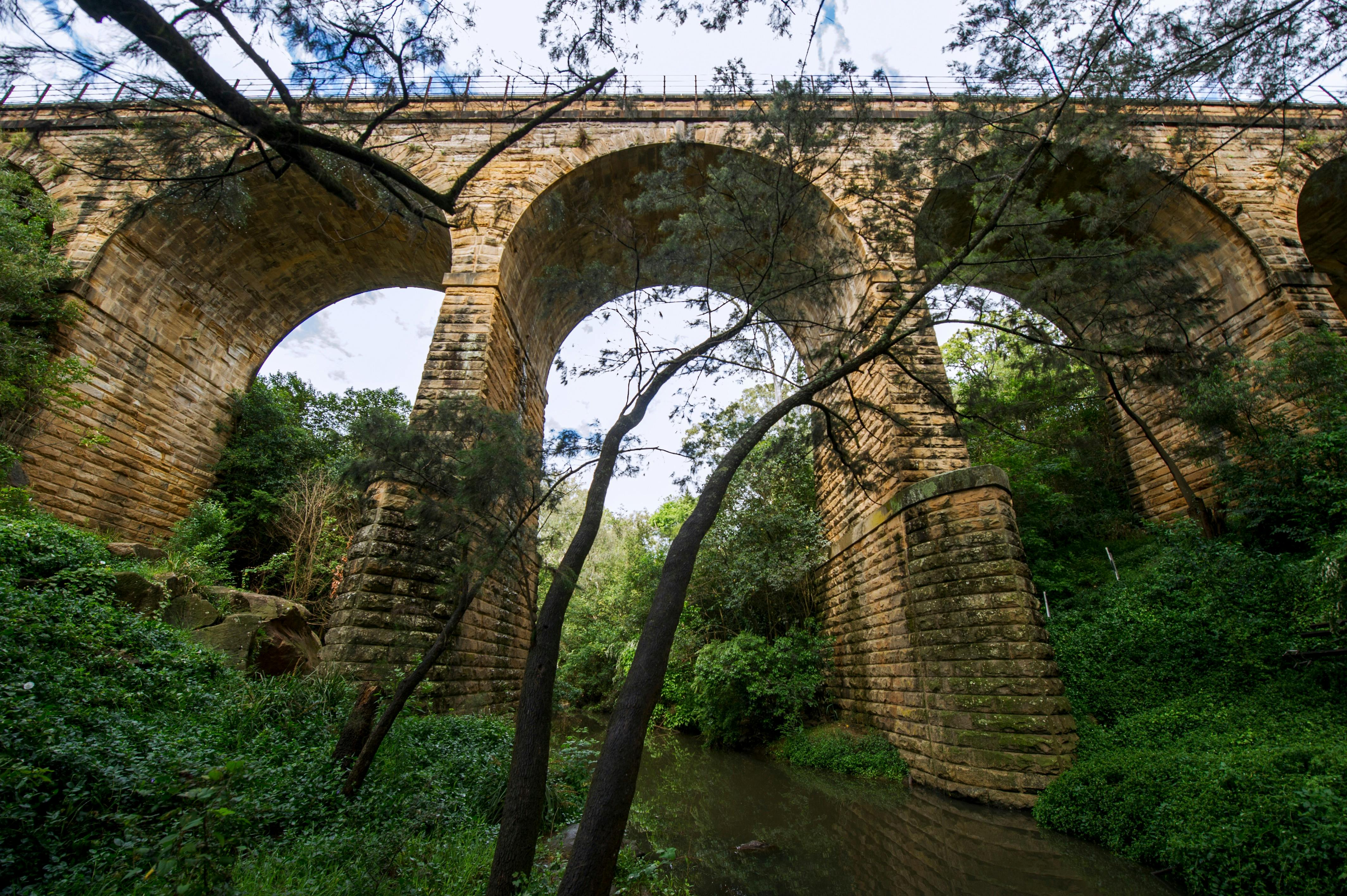 Picton Viaduct