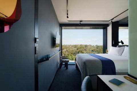 Tribe Park View Room