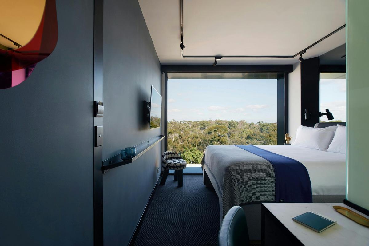 Tribe Park View Room