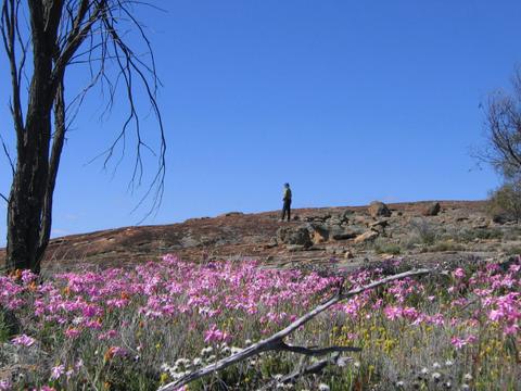 Talgomine Reserve