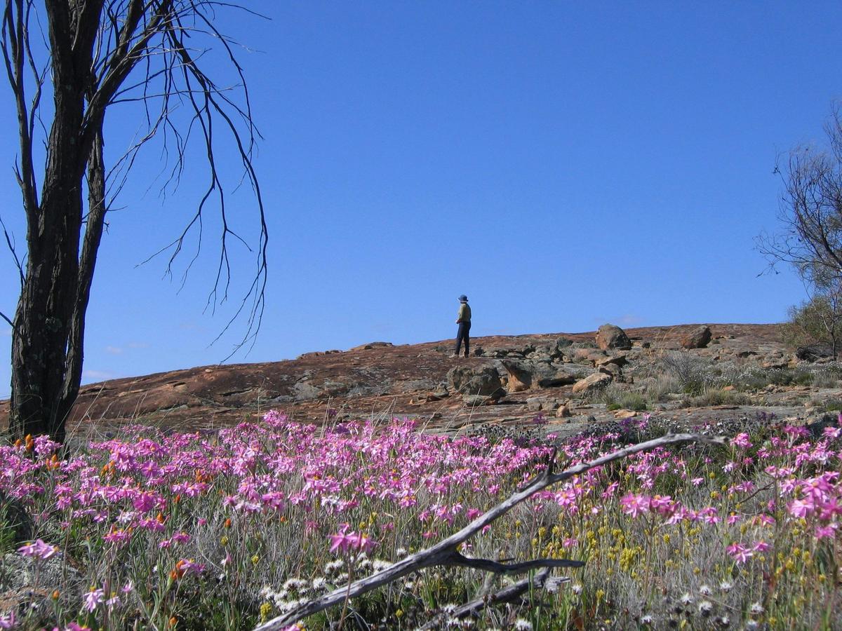 Talgomine Rock
