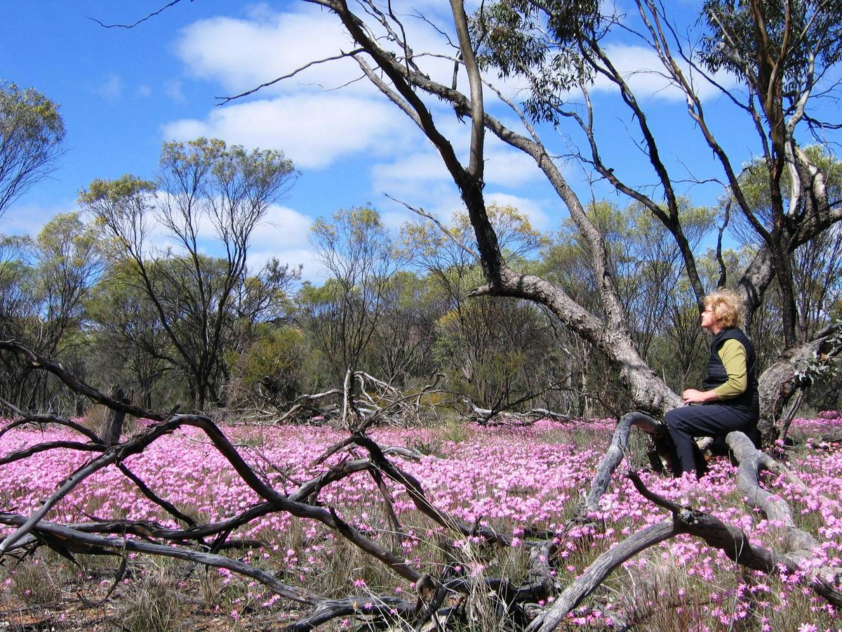 Talgomine Reserve