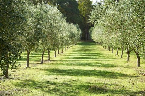 Tom Cullity Drive, Margaret River Gourmet Food and Wine Trail