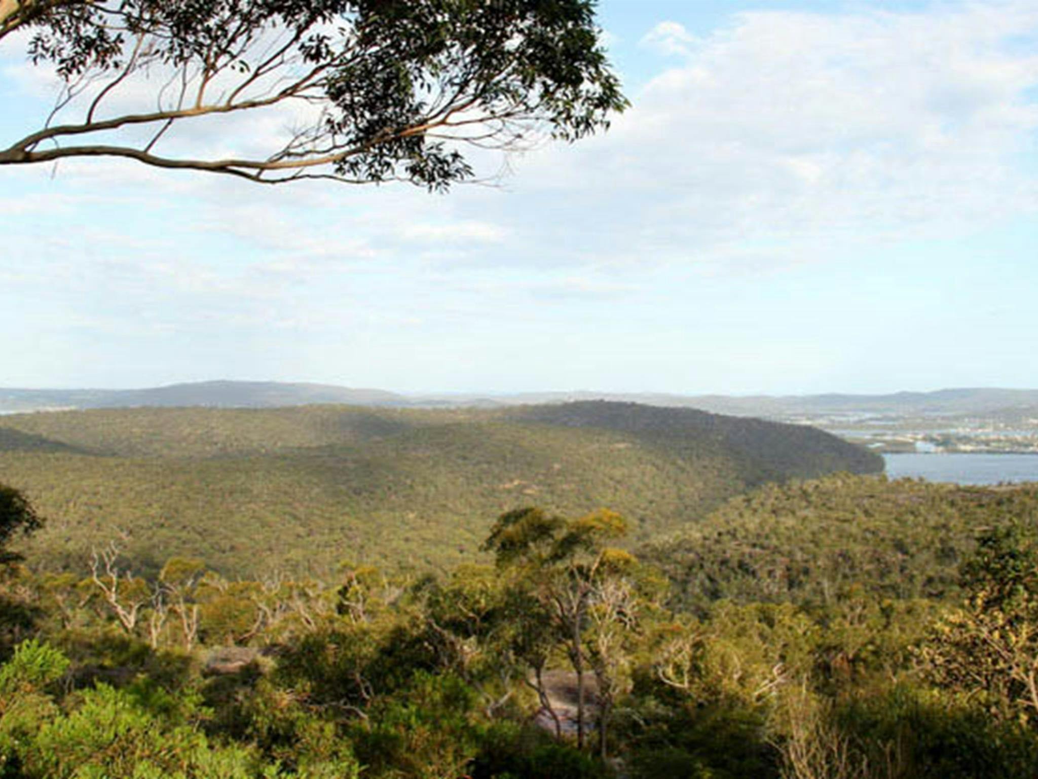 Staples lookout, Brisbane Water National Park. Photo: John Yurasek/NSW Government
