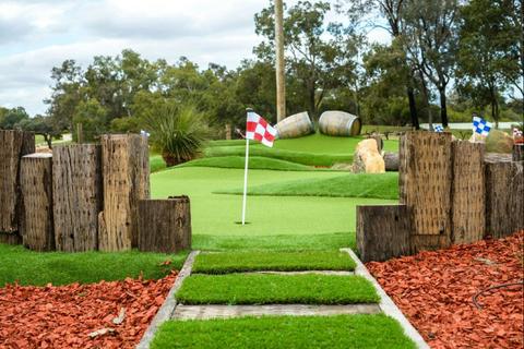 Vines Mini Golf
