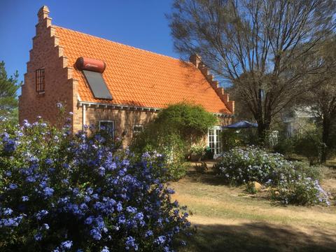 Dutch House