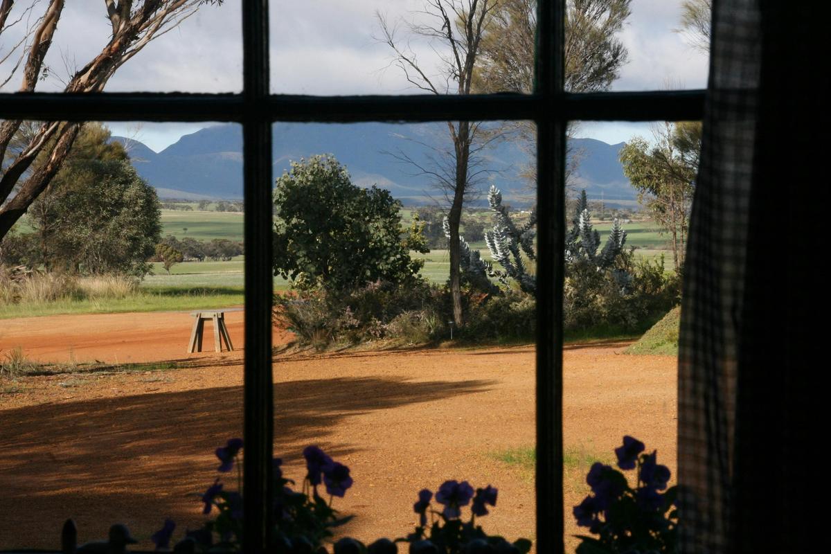 View from Winery Quarters
