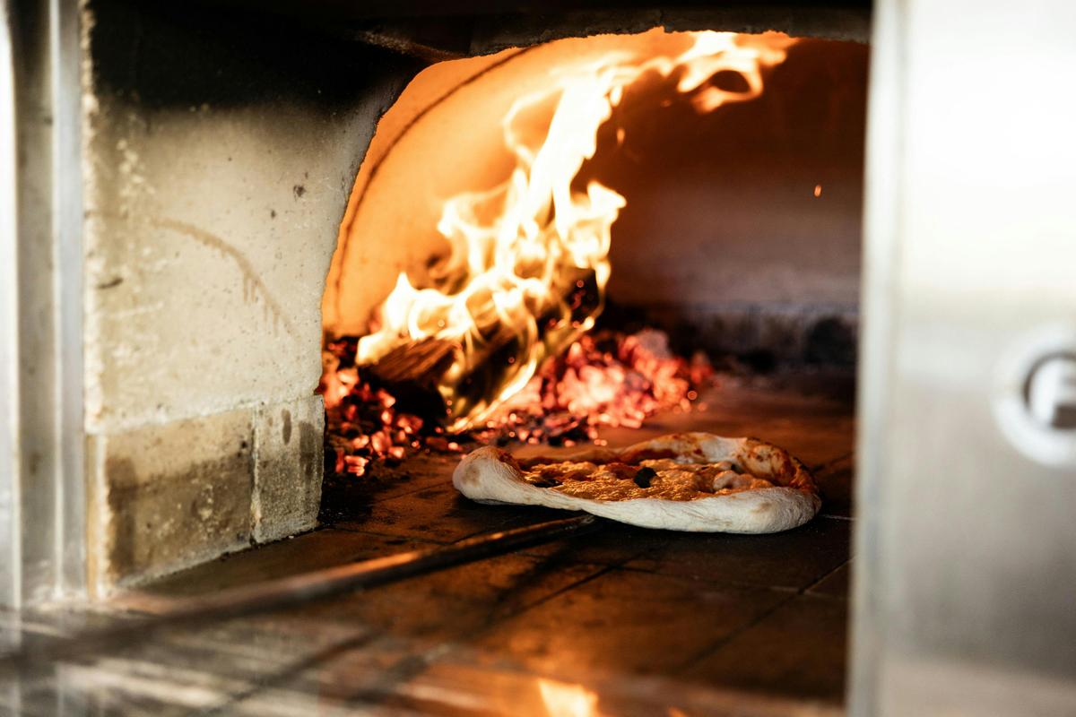 Wood fired pizza oven