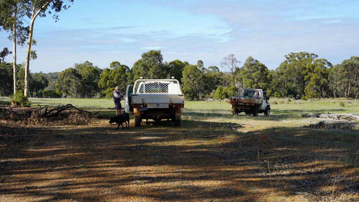 Wandoo Springs Bush Camp