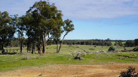 Wandoo Springs Bush Camp