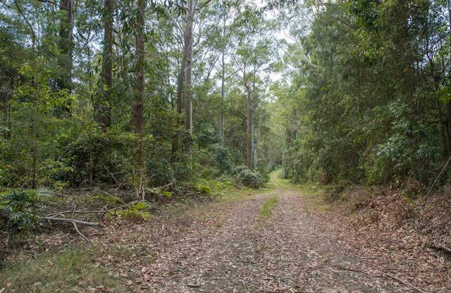 Southern Boundary Trail