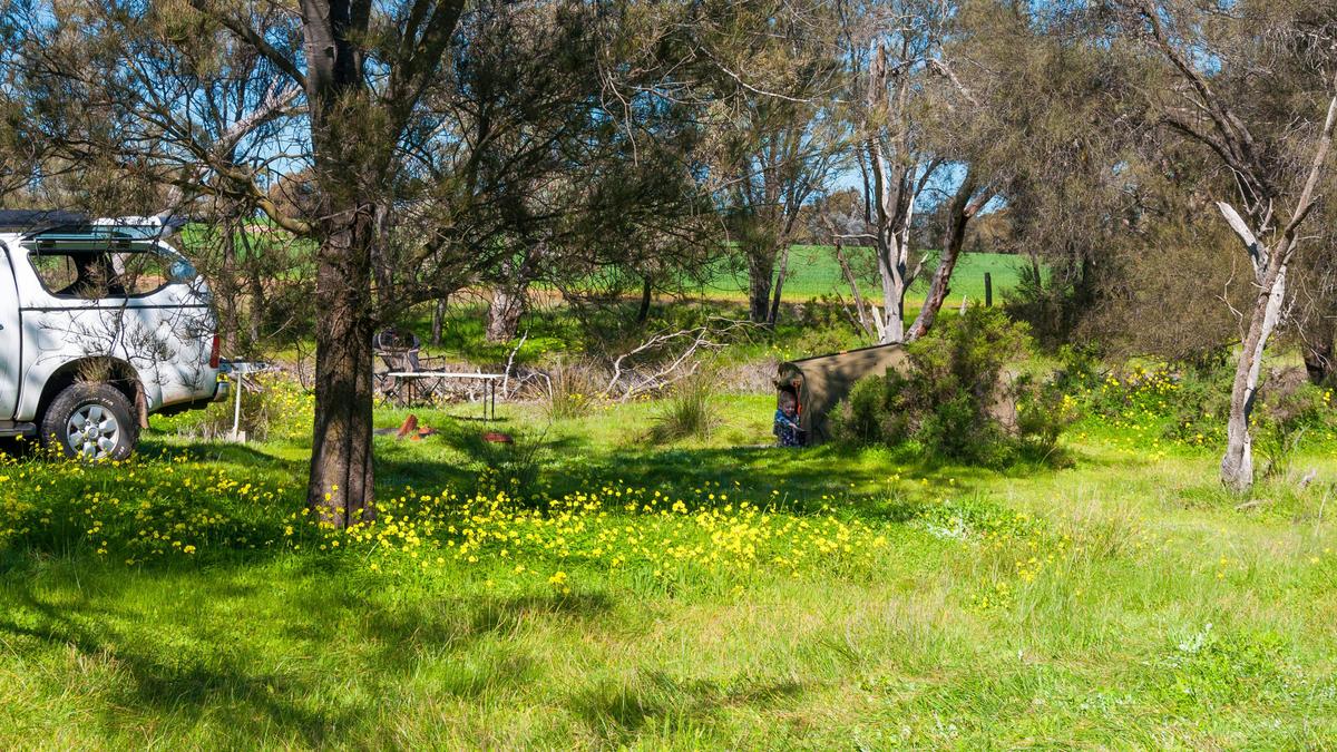 Trapwell Farm